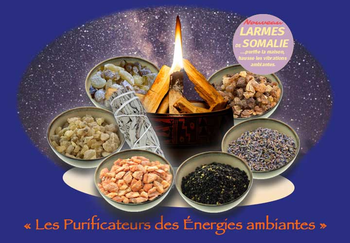 les purificateurs des énergies ambiantes